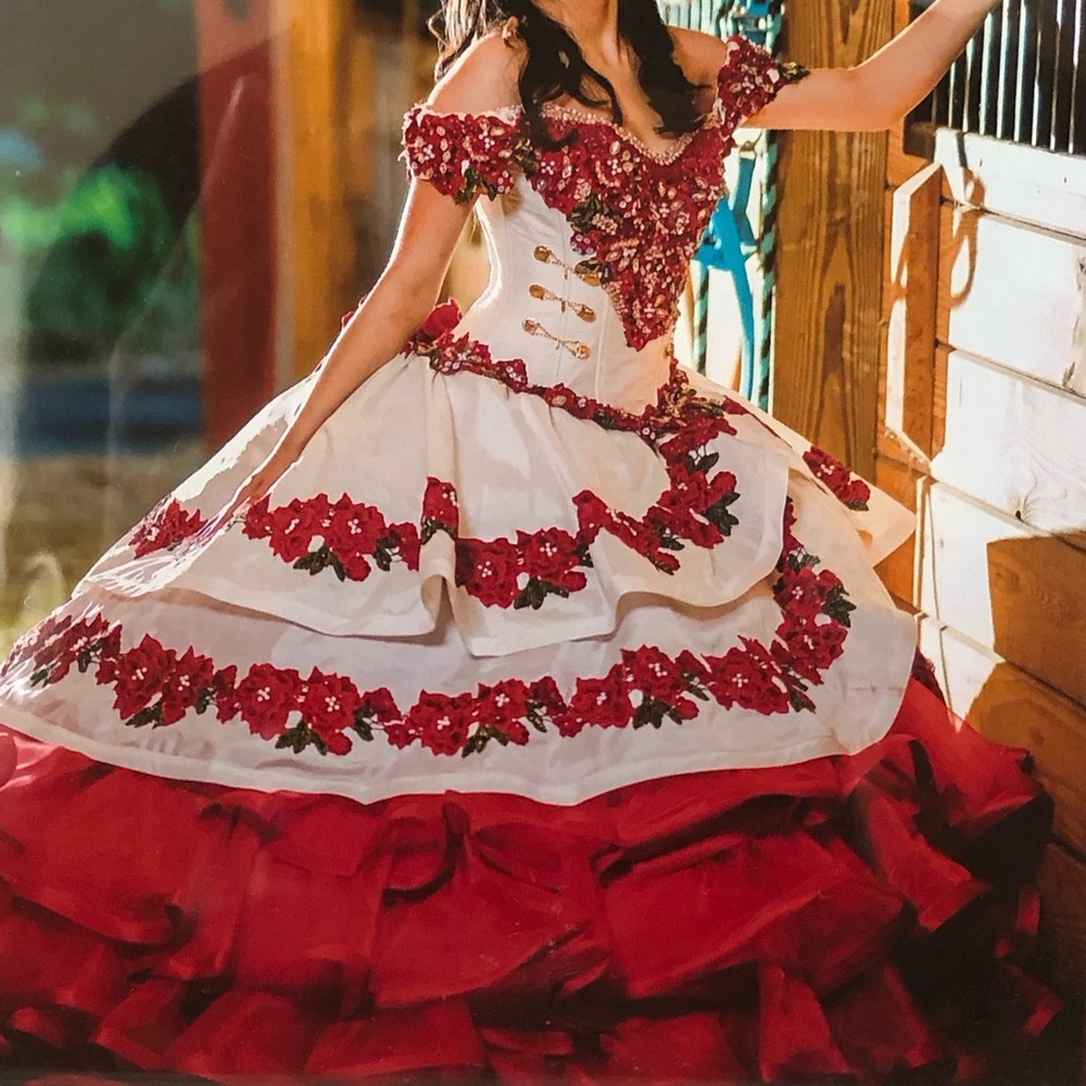Used Quince Dress